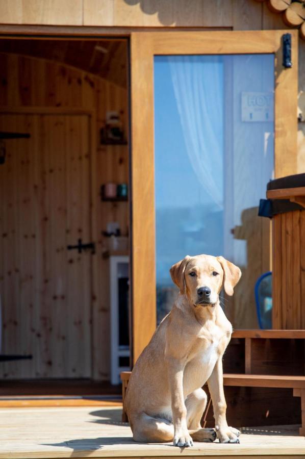 Villa Barnhorn Glamping à Hooe Extérieur photo