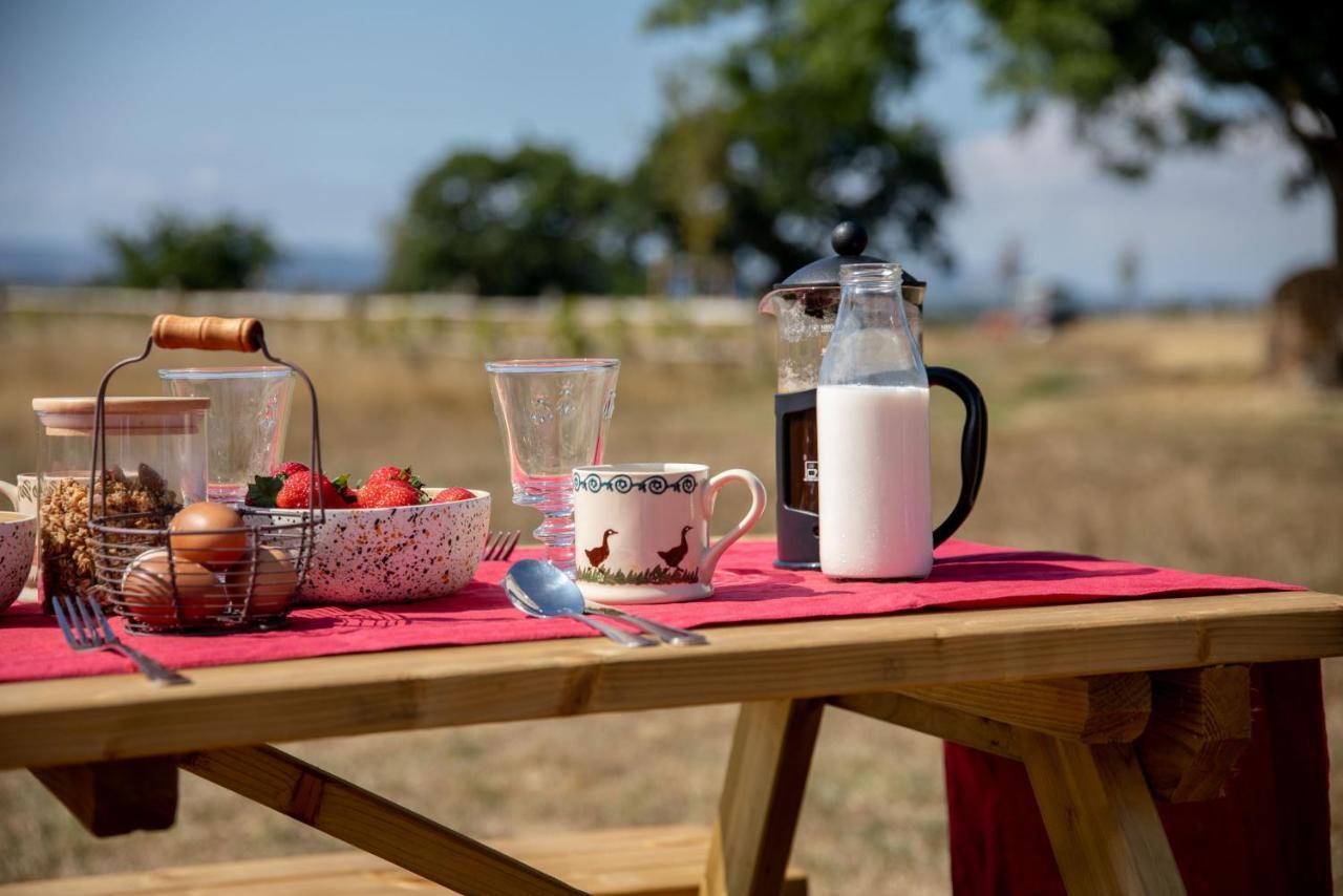 Villa Barnhorn Glamping à Hooe Extérieur photo